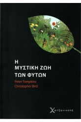 51782.jpg